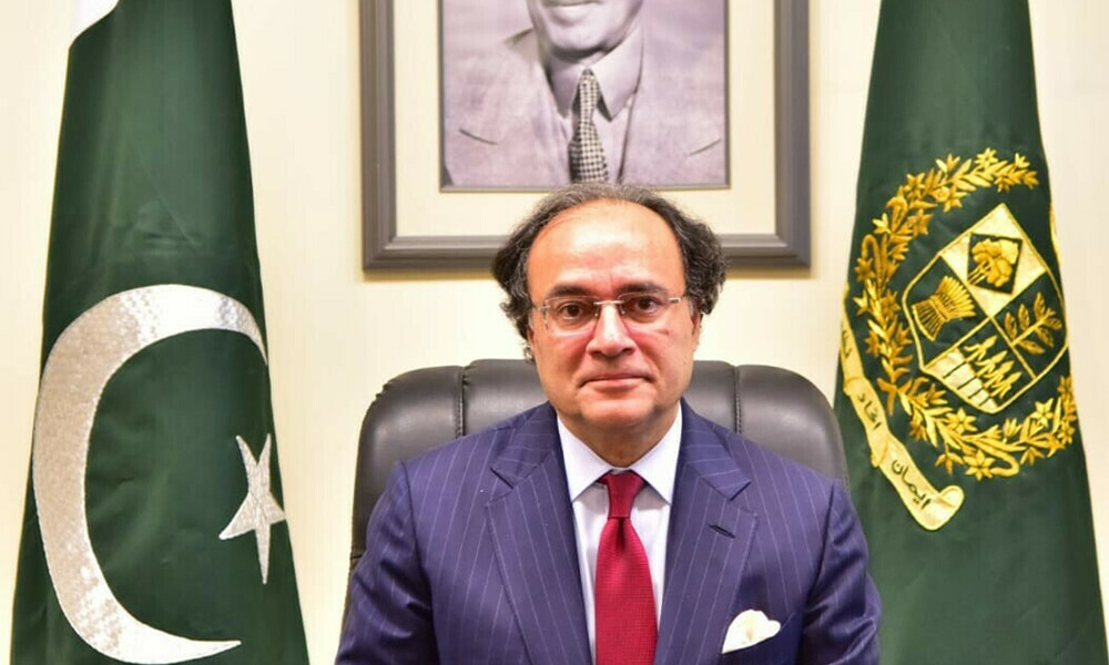Muhammad-Aurangzeb-Khan-Pakistans-new-Finance-Minister