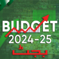 Pakistan Budget 2024: Focus on Development and Public Welfare